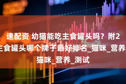 速配资 幼猫能吃主食罐头吗？附2025主食罐头哪个牌子最好排名_猫咪_营养_测试